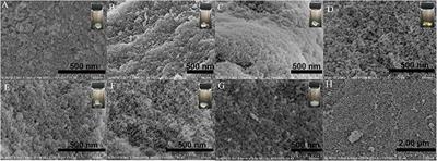 A Facile Preparation of Ambient Pressure–Dried Hydrophilic Silica Aerogels and Their Application in Aqueous Dye Removal